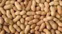 Peanuts-4-STACK-1