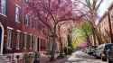 fairmount-neighborhood-streetscape1-M.Fischetti-2200x1237