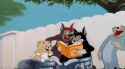 laughing-cats