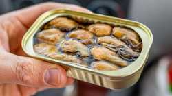 images canned oyster