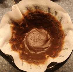 oilirlewcai91