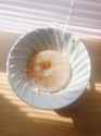 isbi_fullxfull.2285779172_kaq5v68h