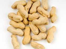 Raw-Shelled-Peanuts