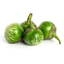 thai-eggplant
