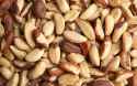 brazil nuts