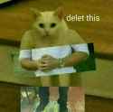 41 KB