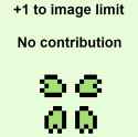 13 KB