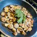 1.17 MB