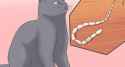 14 KB