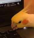 46 KB