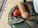 Rule 34 Rule 34 Image