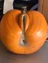 Rule 34 Rule 34 Image