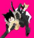 animesher.com_durarara-izaya-orihara-dog-412632