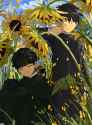 _MIKIOO 1918940648574419266 1