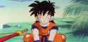 Gohan
