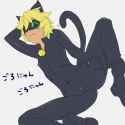 adrien_agreste_and_chat_noir_miraculous_ladybug_drawn_by_joshitsu_zion16wh