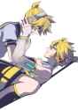 229 KB