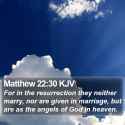 Matthew-22-30-KJV-For-in-the-resurrection-they-neither-marry-nor-I40022030-L01