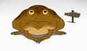 toad