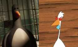 Penguin vs Chicken