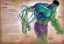 HULK ANATOMY