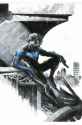 Nightwing (2025) 123 Dexter Soy RI virgin variant