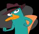 perrytheplatypus