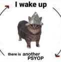 psyop