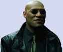 MorpheusMatrix