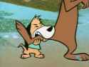 augiedogie9