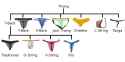 Thong-Style-Charts