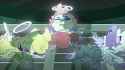 Screenshot_2025-05-16-11-45-15-62_f9ee0578fe1cc94de7482bd41accb329~2