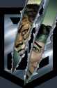 CHEETAH-and-CHESHIRE-Rob-The-JUSTICE-LEAGUE-1