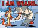 weasel