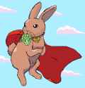 that fucking rabbit that i hate