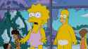 LisaTheVeterinarian_-_Homer