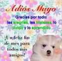 img_1_1748749327479