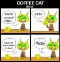 COFFEE CAT - decaf