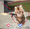 gatogun