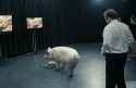 The_National_Anthem_-_Black_Mirror