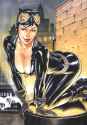 catwoman_by_fredbenes_dbj73cw-fullview
