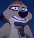 timon ponders