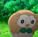 Screenshot_20250511_124015_Chrome