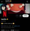 Netflix 