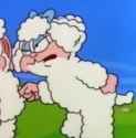 did-you-know-that-jim-davis-creator-of-garfield-created-a-v0-lfjek85aeyfb1