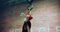 4krogerrabbit-animationscreencaps.com-6063~2