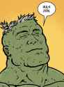 hulk zen