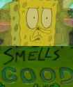 spongestank