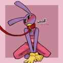 hs21vll3xbbf1