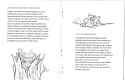 Frogmen 5
